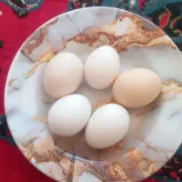 تخم مرغ محلی