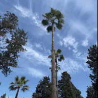 ویلا در لوکیشن خیابان زوج ۶۵۰ متری با بنای قدیمی