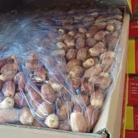 خرما|خوردنی و آشامیدنی|خفر, |دیوار