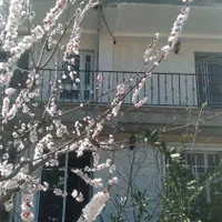 اجاره روزانه/هفتگی/ماهانه آپارتمان  . وسوییت80متری|اجارهٔ کوتاه‌مدت آپارتمان و سوئیت|آزادشهر, |دیوار