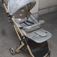 کالسکه  دلیجان|کالسکه و لوازم جانبی|تهران, آسمان|دیوار