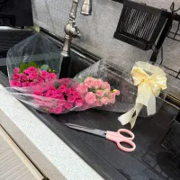 سینک ظرفشویی