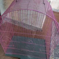 قفس|لوازم جانبی حیوانات|بروجرد, |دیوار