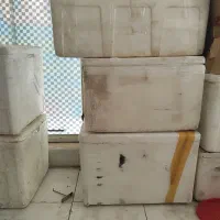 یونولیت تکی و عمده