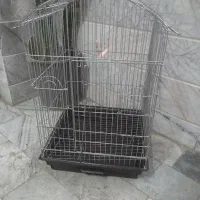 قفس پرنده