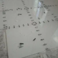 کاشیکاری سیمان کار مزاییک پذیرفته مشود