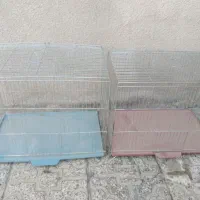 قفس پرنده|لوازم جانبی حیوانات|ایلام, |دیوار