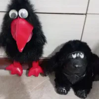 میمون سیاه + کلاغ