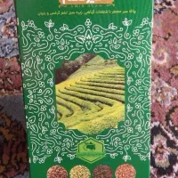 چای