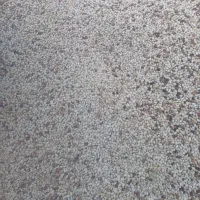 خریدار پسته پوک روابی