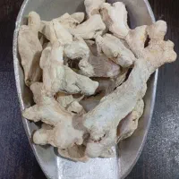 زنجبیل‌قلم‌