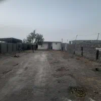 ملک به رهن داده میشود
