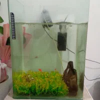 آکواریوم نو