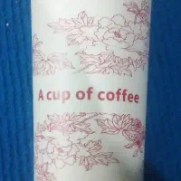 ماگ مسافرتی Travel