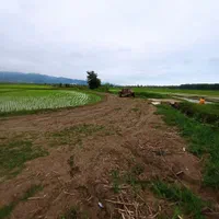 فروش زمین مزروعی۳۰۰۰ متری درجوکندان با چاه آب شخصی|فروش زمین و ملک کلنگی|تالش, جوکندان|دیوار