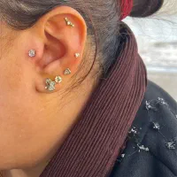 شیراز تخفیف