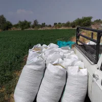کاه یونجه|خدمات باغبانی و درختکاری|کهنوج, |دیوار