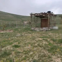 باغ ۵ ساله ۱۲۰۰ متر در زرشک