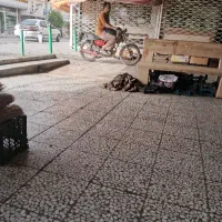 معاوضه موتور هندا مدا ۹۰ با کهره یا بره