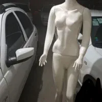 دوعدد مانکن