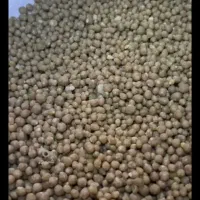 کود دی آمونیوم فسفات (DAP) گرانوله رازی پاییزه|خدمات باغبانی و درختکاری|شیرینسو, |دیوار