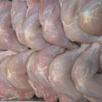 ران /سینه /فیله /بال و بازو|خوردنی و آشامیدنی|تهران, تهرانپارس شرقی|دیوار