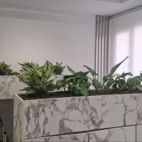 خدمات باغبانی در محل تعویض خاک گلدان منزل وشرکت|خدمات باغبانی و درختکاری|تهران, پاسداران|دیوار