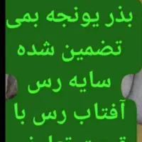 تخم علف بمه گرمسیری تصاویر بالا|خدمات باغبانی و درختکاری|جیرفت, |دیوار