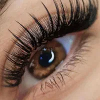 خدمات Vip اکستنشن مژه در هتل بزرگ شیراز۶۵۰ تومان|خدمات آرایشگری و زیبایی|شیراز, دروازه قران|دیوار