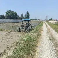 تراکتور فرگوسن  جفت مدل 82|خودرو سنگین|گلوگاه بابل (گلیا), |دیوار