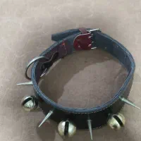 قلاده سگ|لوازم جانبی حیوانات|مشهد, باغون آباد|دیوار