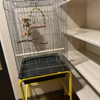 قفس و‌لوازم پرنده