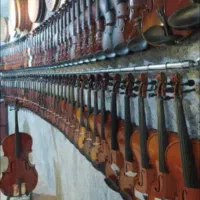 ویولن/ همه سایز همه رنگ