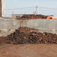 کودبار حیوانی گاوی گوسفندی و مرغی|خدمات باغبانی و درختکاری|تربت‌حیدریه, چهارراه خواف|دیوار