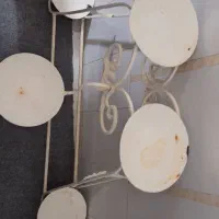 جا گلدانی|گل و گیاه طبیعی|قم, زند آباد|دیوار