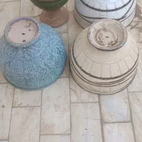 گل پاندانوس بزرگ|گل و گیاه طبیعی|اردکان, |دیوار