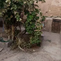 یلوار-هجرت-ک1