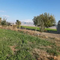 اجاره زمین کشاورزی ابی   یک سال  دوساله .|اجارهٔ دفتر صنعتی، کشاورزی، تجاری|کرمانشاه, |دیوار