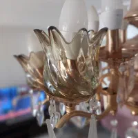 ۶ عدد حباب لوستر شامپانی