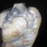 فروش سنگ قیمتی|جواهرات|صدرا-فارس, فاز ۱|دیوار