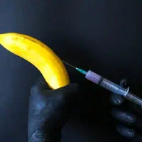 تزریق فیلر به آلت خصوصی آقاو بانو