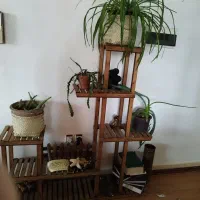 استند چوبی کاملا سالم