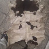 پوست گاو