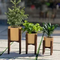 دکوراسیون چوبی
