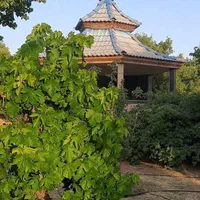 اجاره روزانه/هفتگی/ماهانه باغ در خان زنیان|اجارهٔ کوتاهمدت ویلا و باغ|شیراز, آبیاری|دیوار