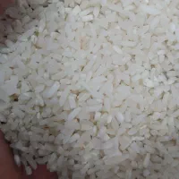 لاشه‌برنج‌هاشمی‌ ..نیمدانه و‌ریزه‌سورتینگ‌شده