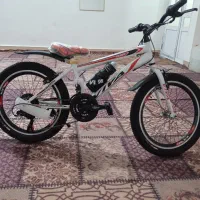 دوچرخه ویوا دنده ای