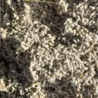 دانه پنبه و غوزه و کچاله برای خوراک دام اردبیل|عمده‌فروشی|زرندیه, |دیوار