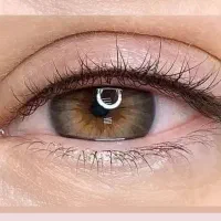 جشنواره ریموو، بنمژه، خط چشم، شیدینگ لب، میکرو|خدمات آرایشگری و زیبایی|نیشابور, شهرک بهداری|دیوار