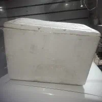 فوم یخی